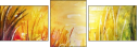 39736454