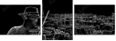 40123912