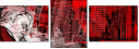42837141