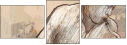 42960338