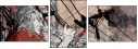 42962421