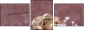 43471205