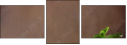 44772824