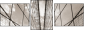 45668708