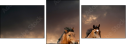 45981925