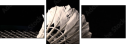 47111850