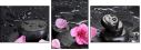 47124830