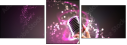 48695606