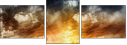 49899712