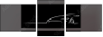 50163980
