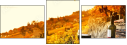 50713543