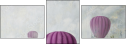 51047463