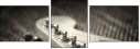 51861338