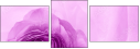 52109021