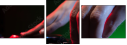 54778008