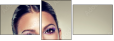 54860182