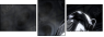 55593987