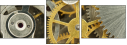56949725