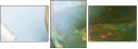 57437376