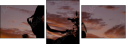 58154901