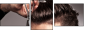 58184409