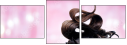 58689994