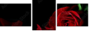 60186592