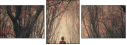 60442499