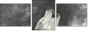 61243496