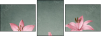 61954635