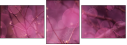 64114474