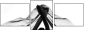 64353115