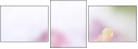 65612504