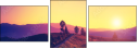 67236047
