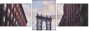 68887204