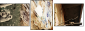 7183828