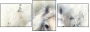 76649647