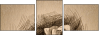 80258727
