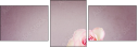 80478191
