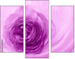 52109021