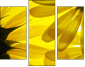 6606588
