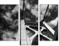 998443