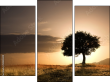 Triptychon - Dreiteiliges Leinwandbild