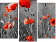 Triptychon - Dreiteiliges Leinwandbild