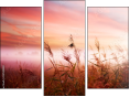 Triptychon - Dreiteiliges Leinwandbild
