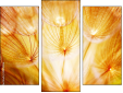 Triptychon - Dreiteiliges Leinwandbild