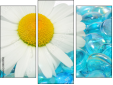 Triptychon - Dreiteiliges Leinwandbild
