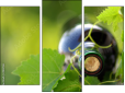 Triptychon - Dreiteiliges Leinwandbild