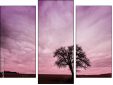 Triptychon - Dreiteiliges Leinwandbild