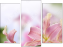 Triptychon - Dreiteiliges Leinwandbild